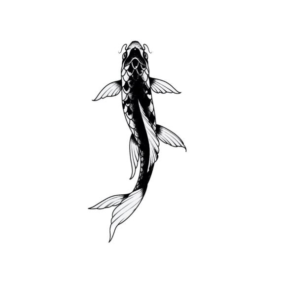 Lucky Fish