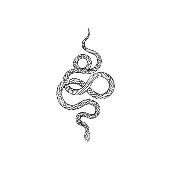 Snakeskin