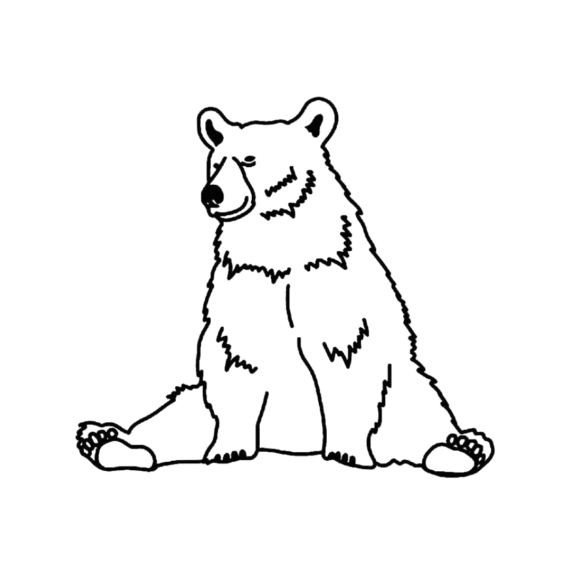 Bearly Awake