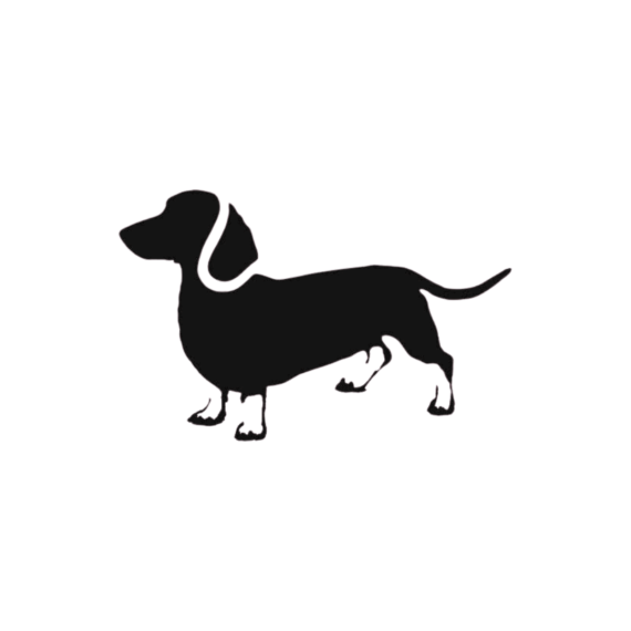 Hund