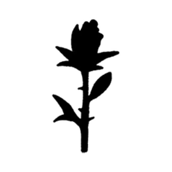 Bloom of Resilience