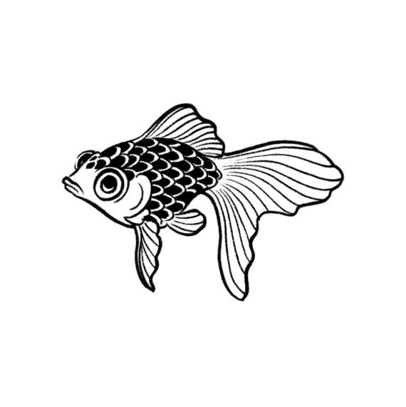 Swim Along