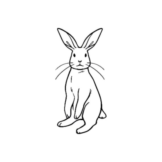 Listen Hare-fully