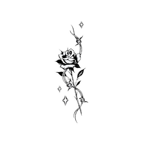 Barbed Romance