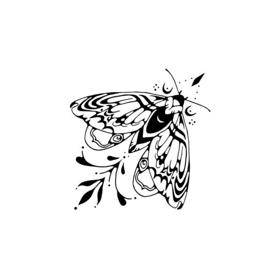 Inkblot Moth