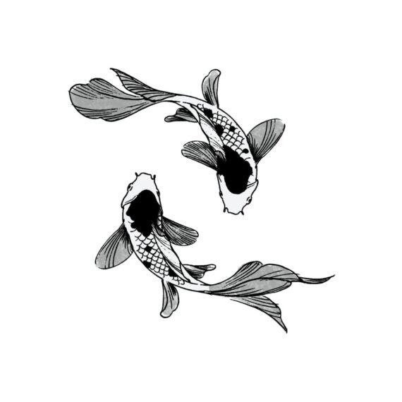 Koi Dream