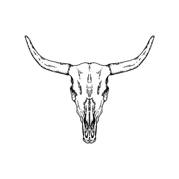 This is Bull