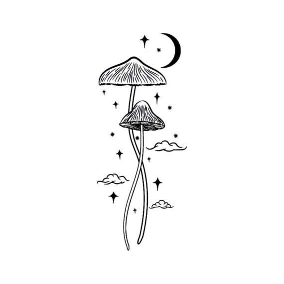 Nocturnal Sprout
