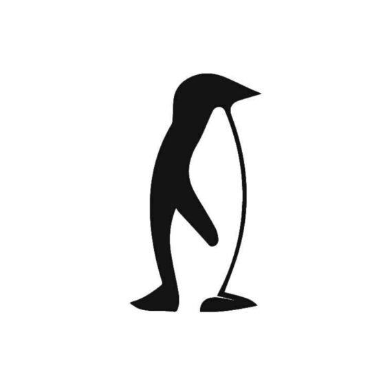 Auk