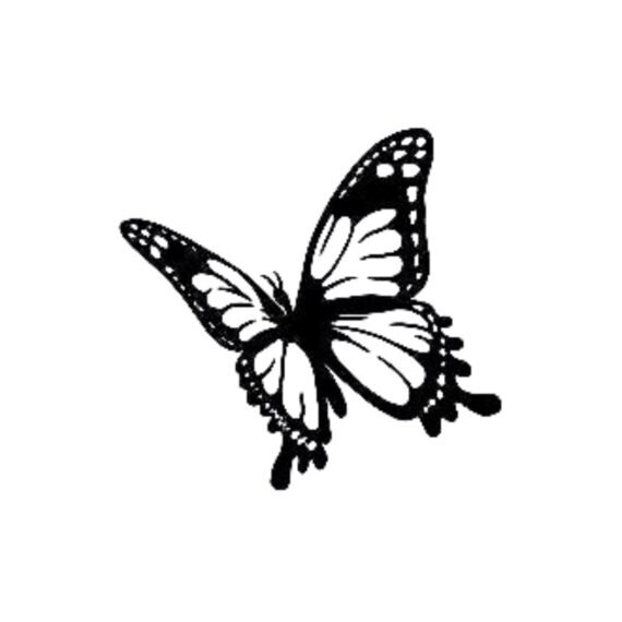 Flutter