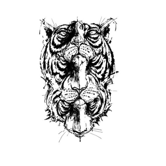 Tiger Milk