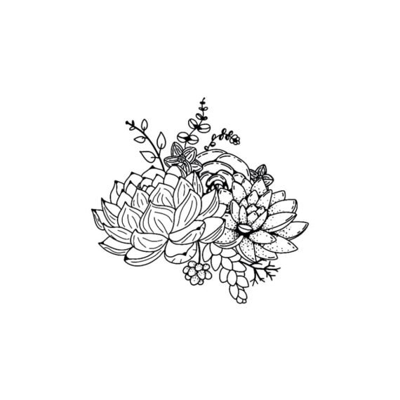 Succulent Squad