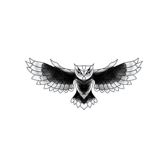 Noctua Athene