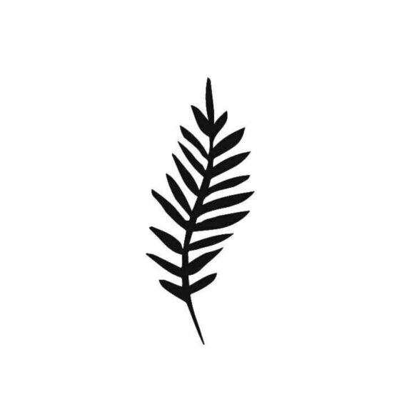 Foliage