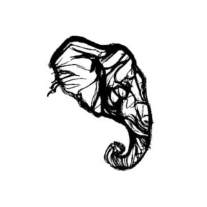 Elephant's Memory