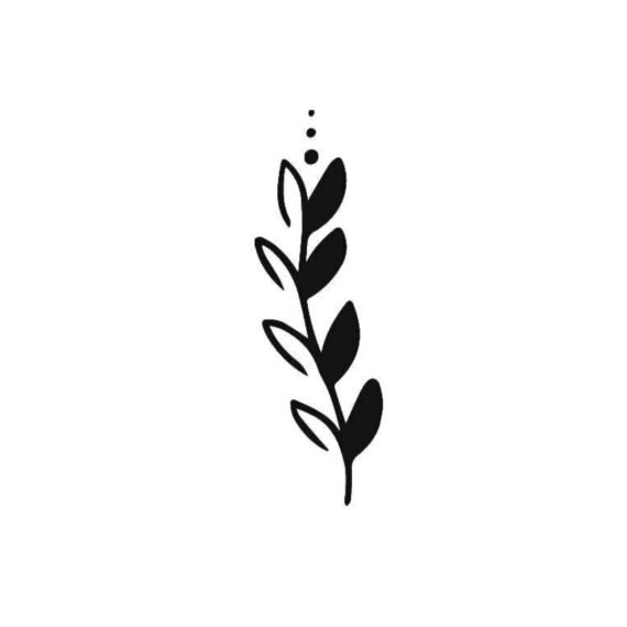 Vera