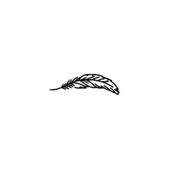 Lone Feather
