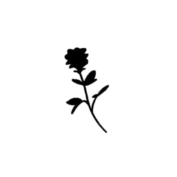 Rosinha