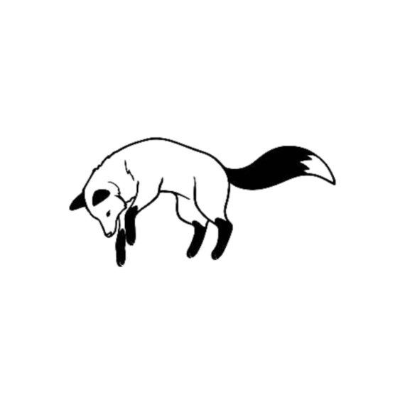 Pouncing Fox