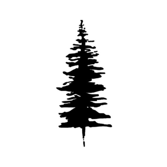 Timber